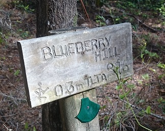 mountain biking sign