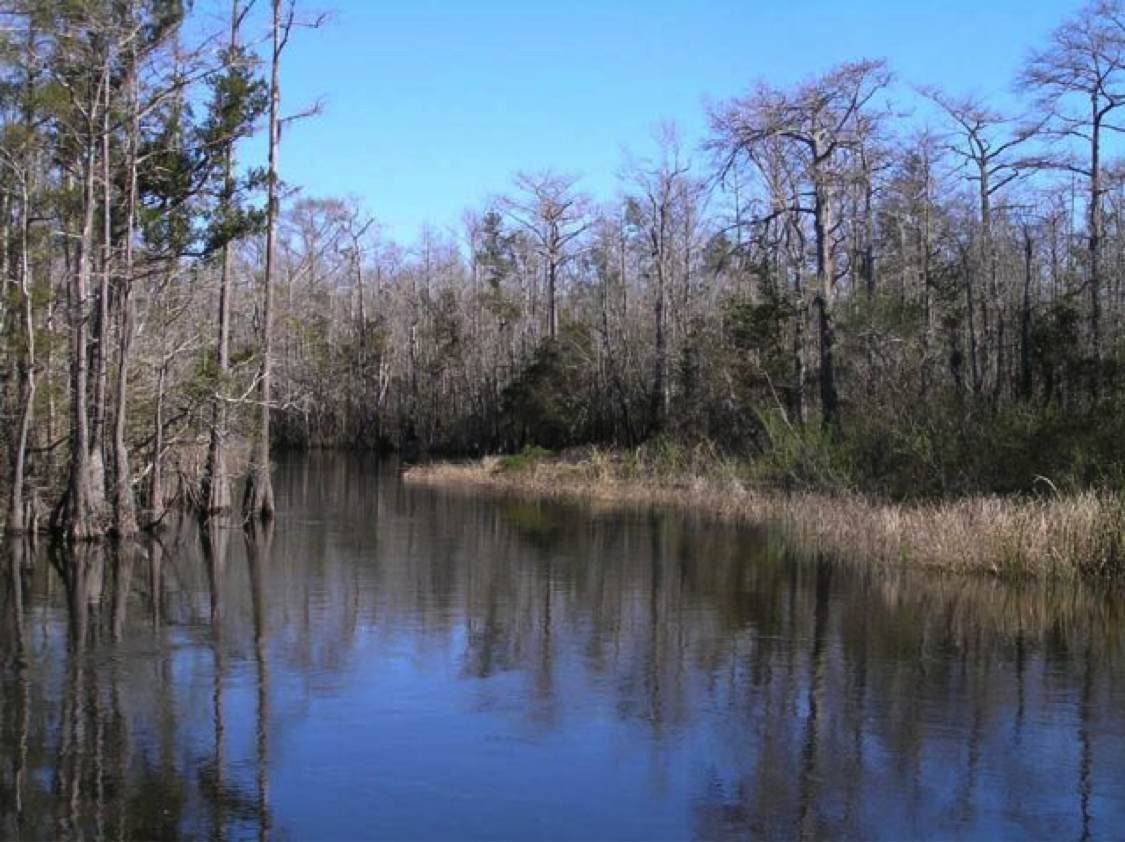 Canoe and Kayak Trails - Eglin Air Force Base - iSportsman